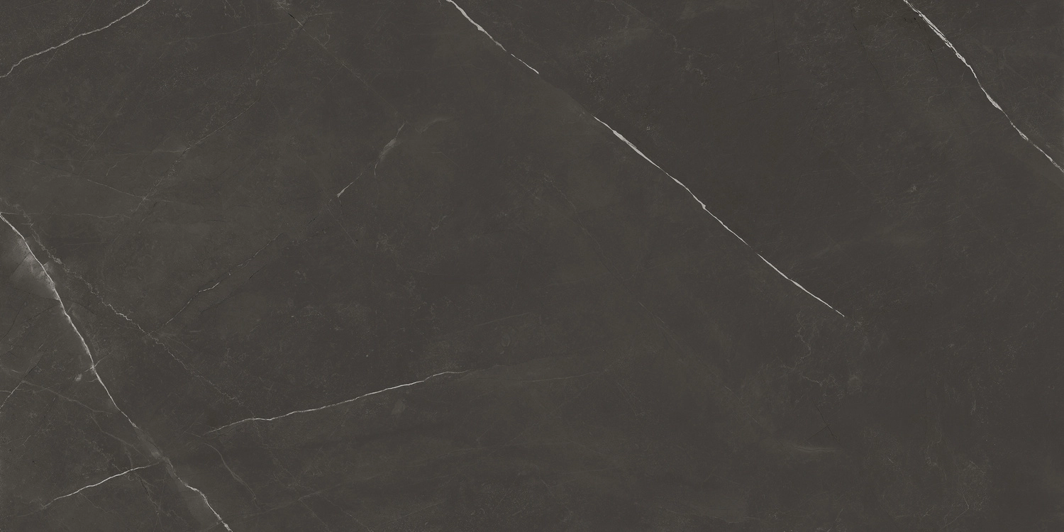 PIETRA ACTIVE BLACK 60X120