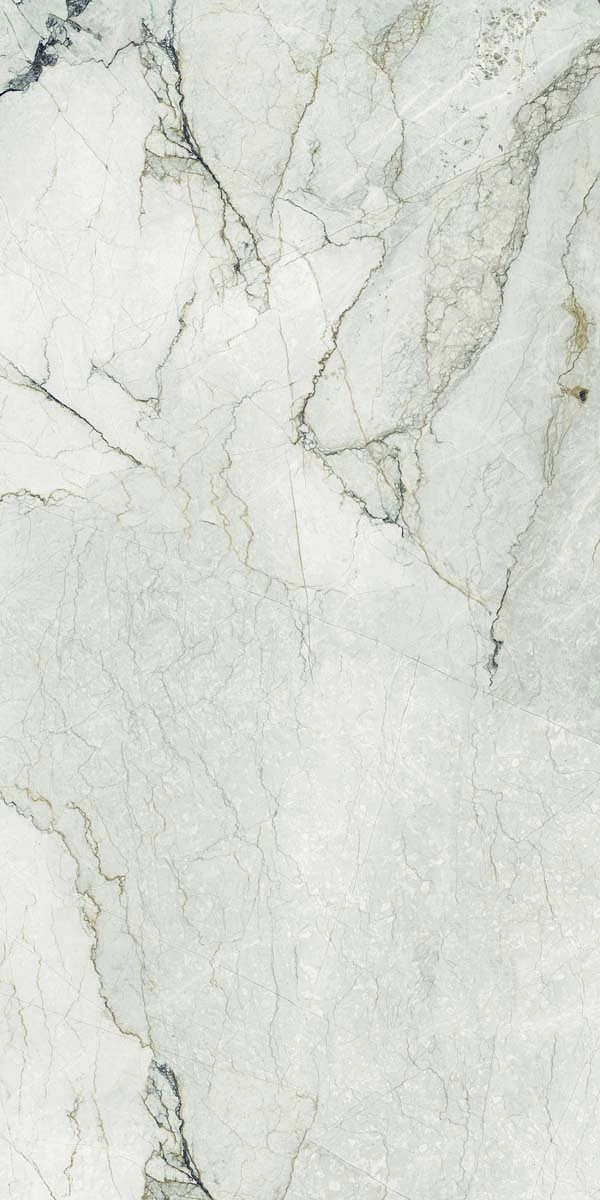 AE CAM6 12 LP 60x120