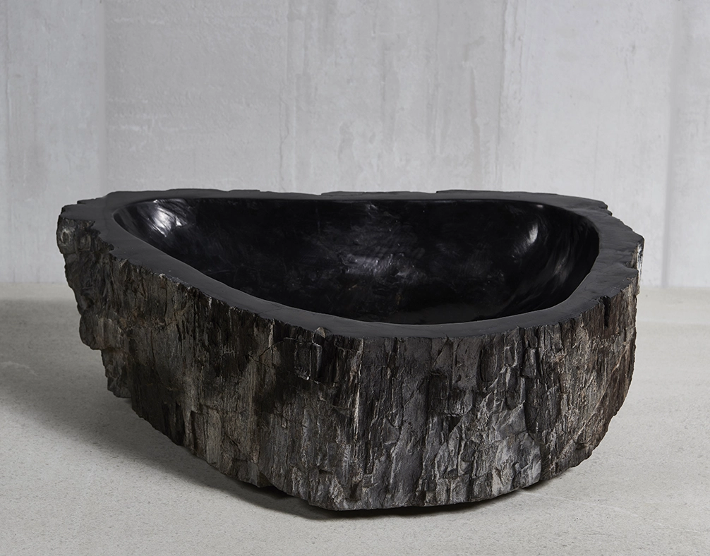 Раковина из окаменелого дерева 43х41х15