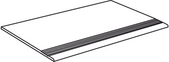 WORD UP NE G36R 30x60