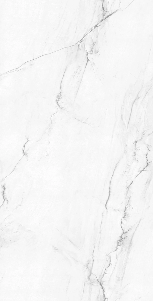 VICTORIA POLISHED 120x240