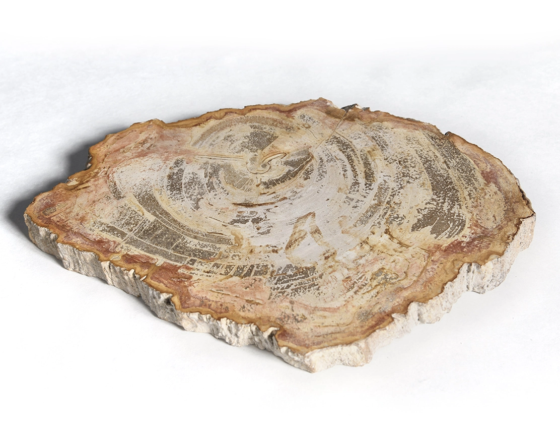 столешница для кофейного столика  из окаменелого дерева 31х25х2,5