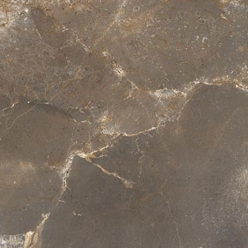 TREX6 120TO LP 120x120