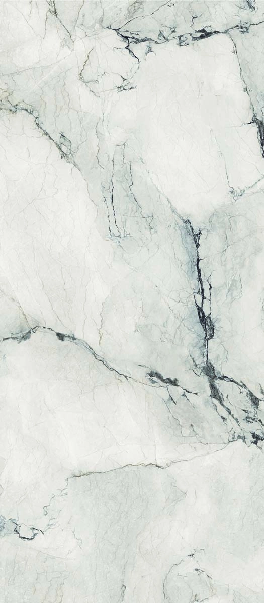 AE CAM6 278 LPM 120x278