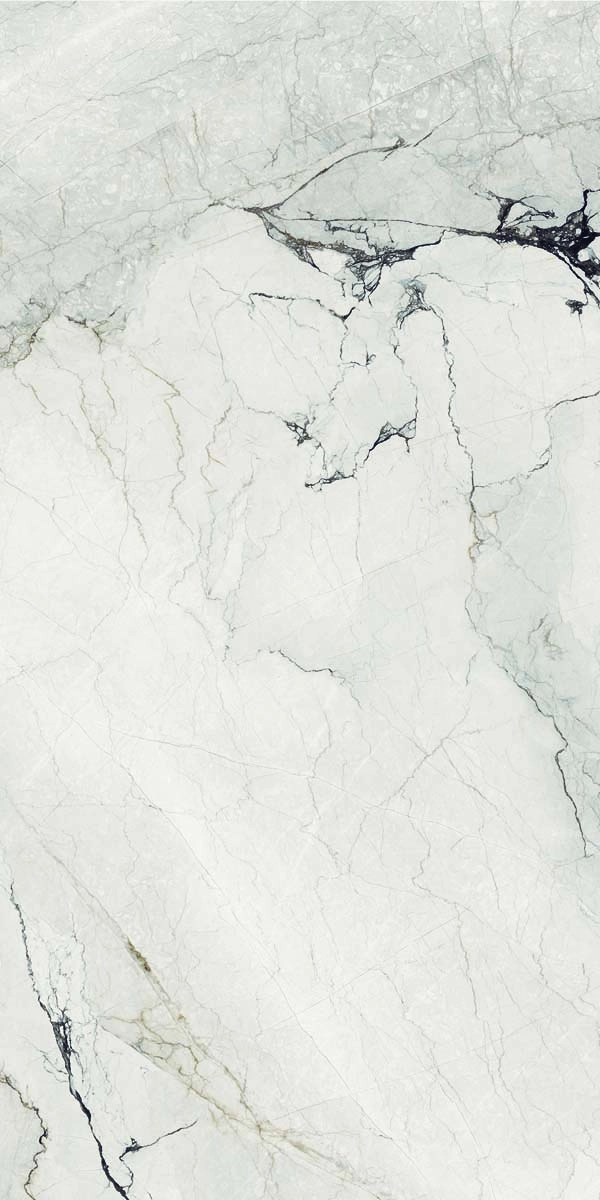 AE CAM6 12 LP 60x120