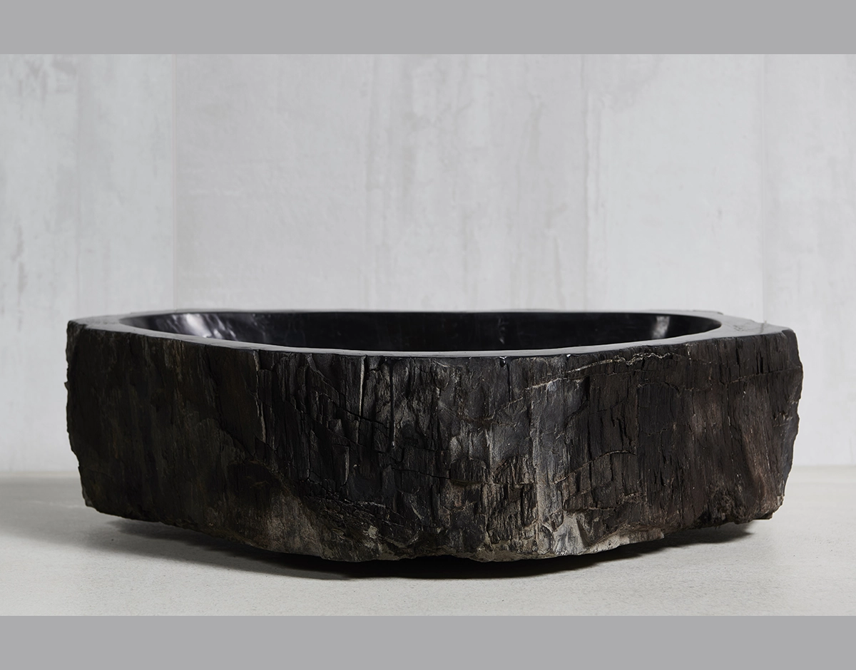 Раковина из окаменелого дерева 60х43х15