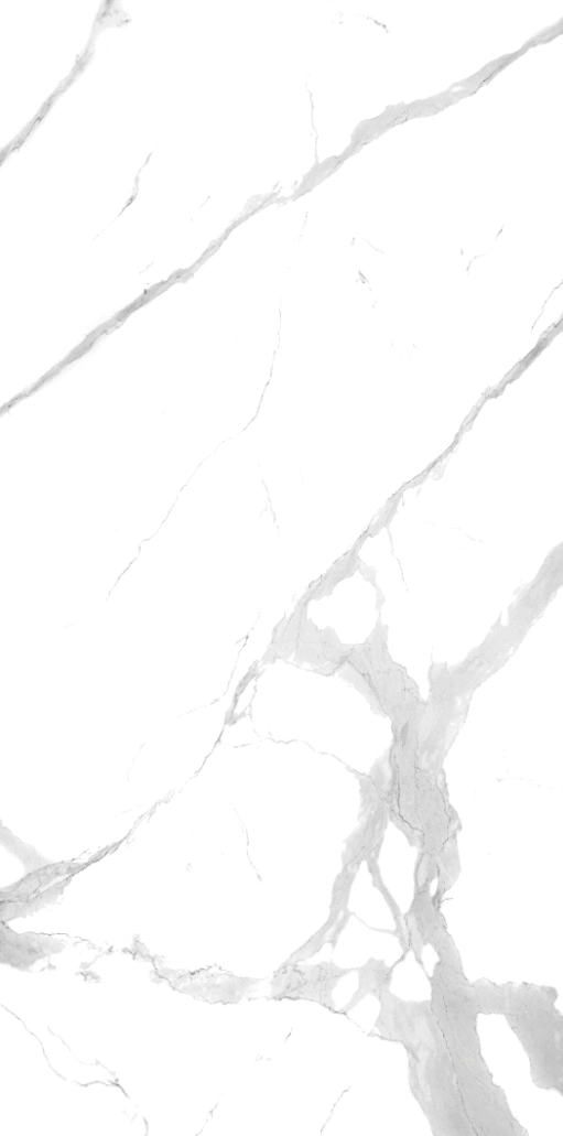 67400 Statuario 120x240