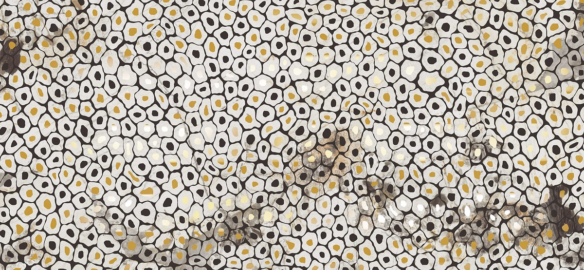 JAGUAR6 260LP 120x260