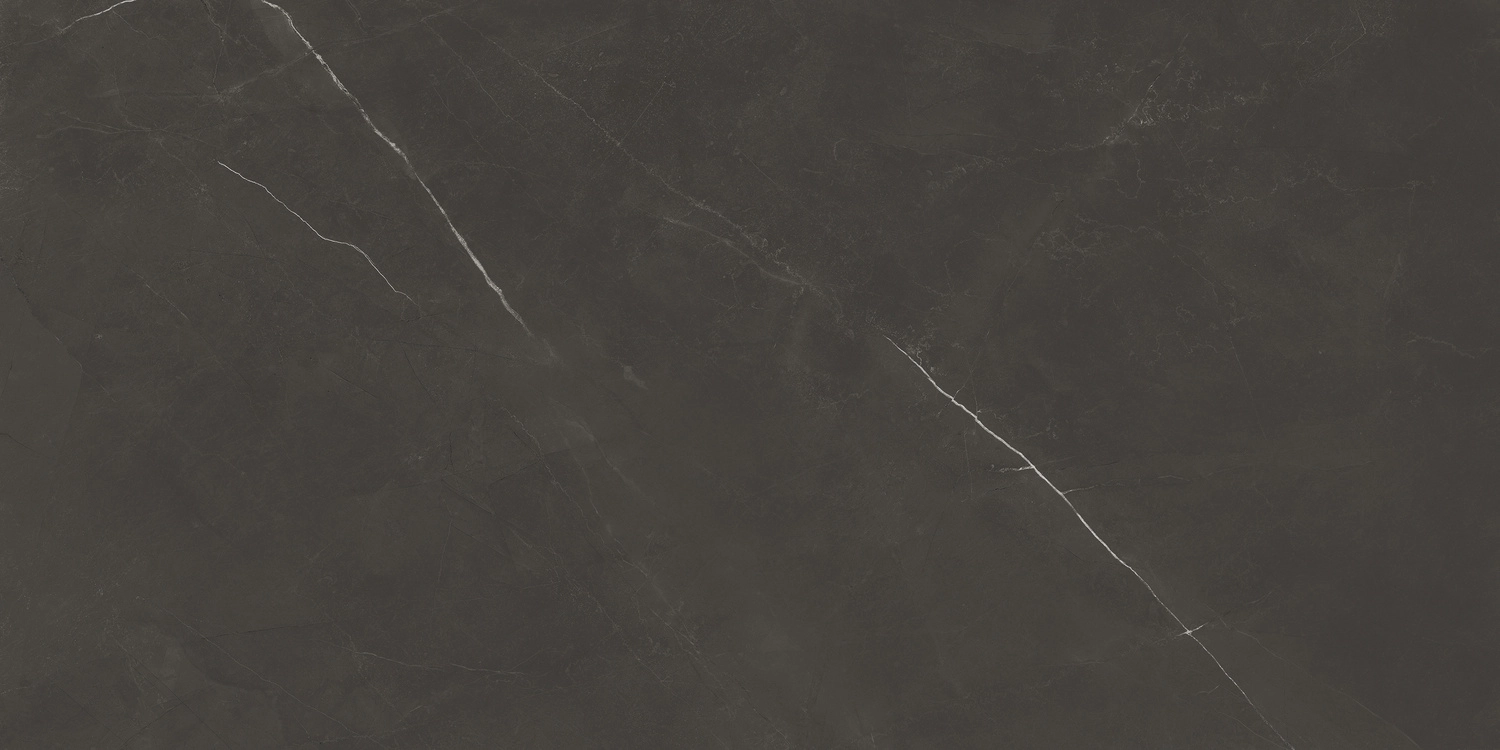 PIETRA ACTIVE BLACK 60X120