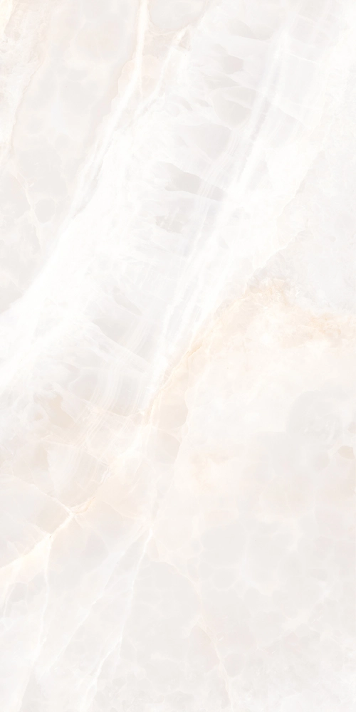 OPAL POLISHED 80х160