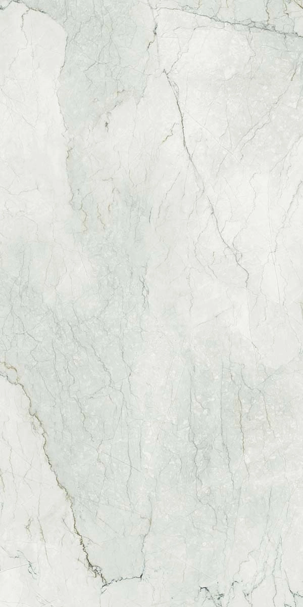 AE CAM6 12 LP 60x120