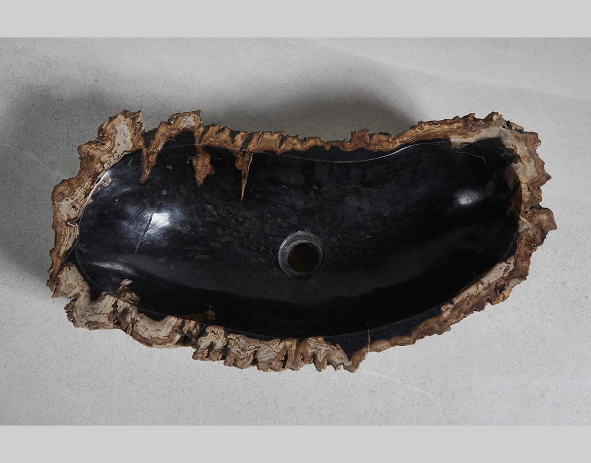Раковина из окаменелого дерева 60х31х15