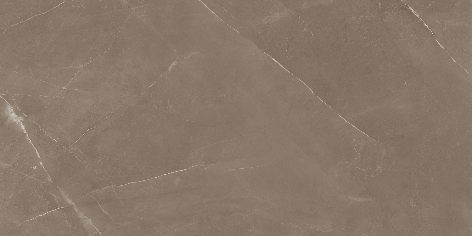 PIETRA ACTIVE GRAY 60X120