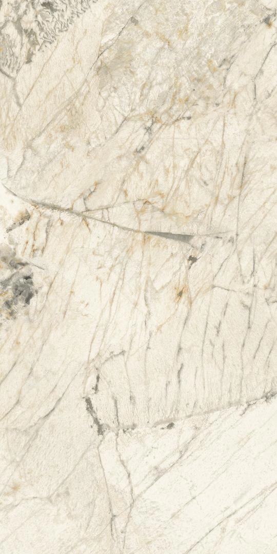 PAT WH6 12 RM 60x120