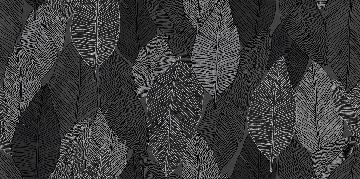 XILEMA6 12 60x120