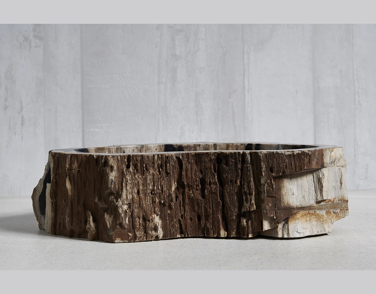 Раковина из окаменелого дерева 55х30х15