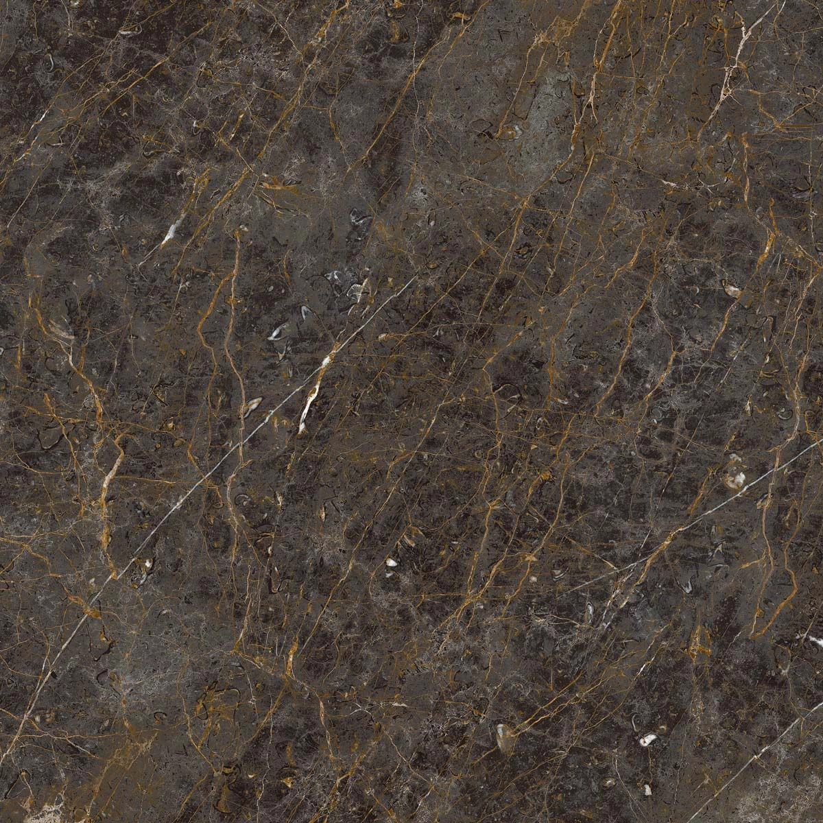 AE GOL6 120 LP 120x120