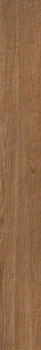 LNOT 2018BS RM 20x180