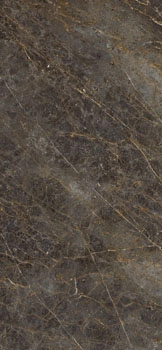 AE GOL6 278 LP 120x278