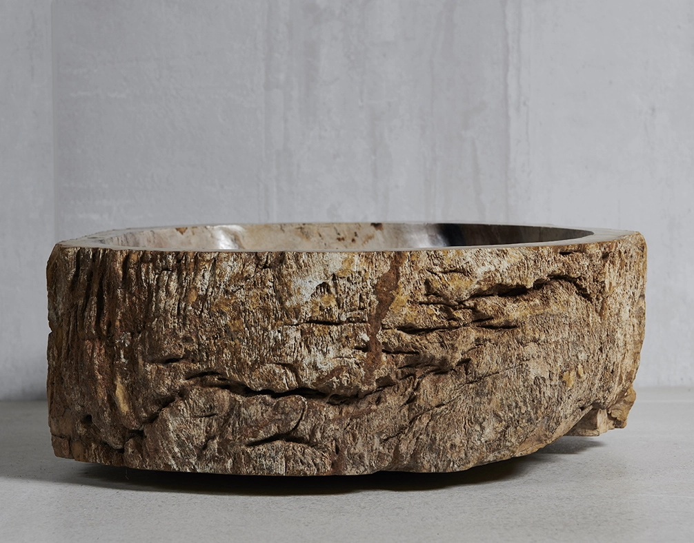 Раковина из окаменелого дерева 43х43х15