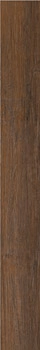 LNOT 2018OLD RM 20x180