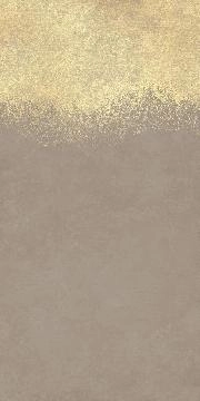 VIS6 DK 240TP 120x240