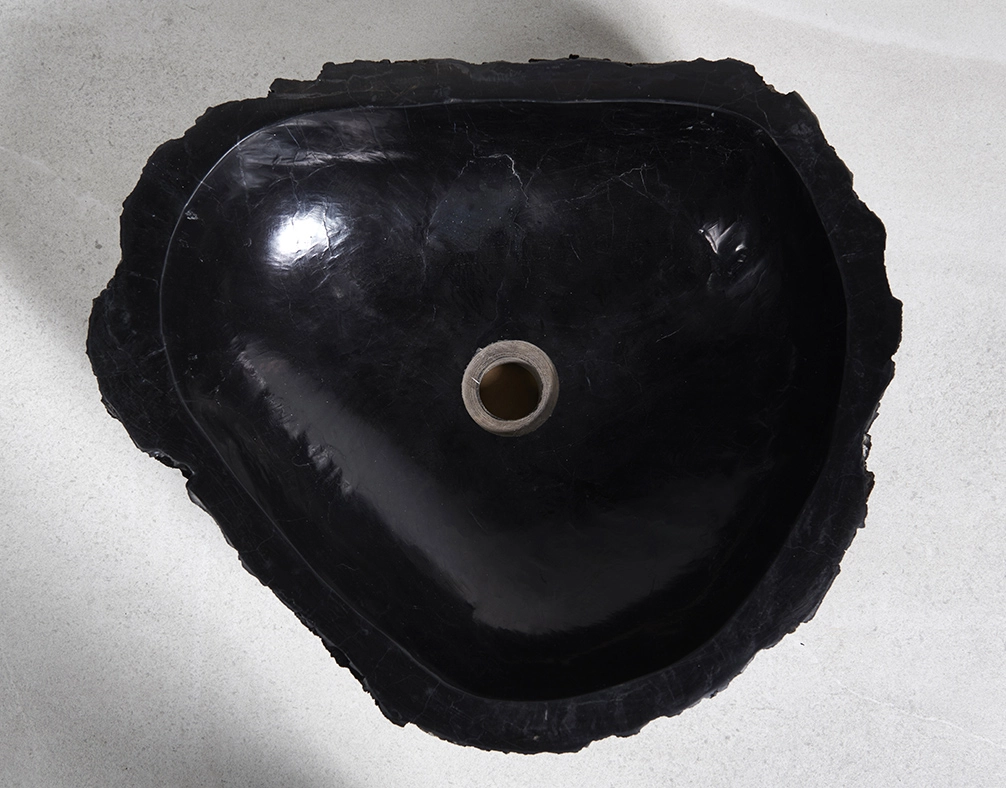 Раковина из окаменелого дерева 49х42х15