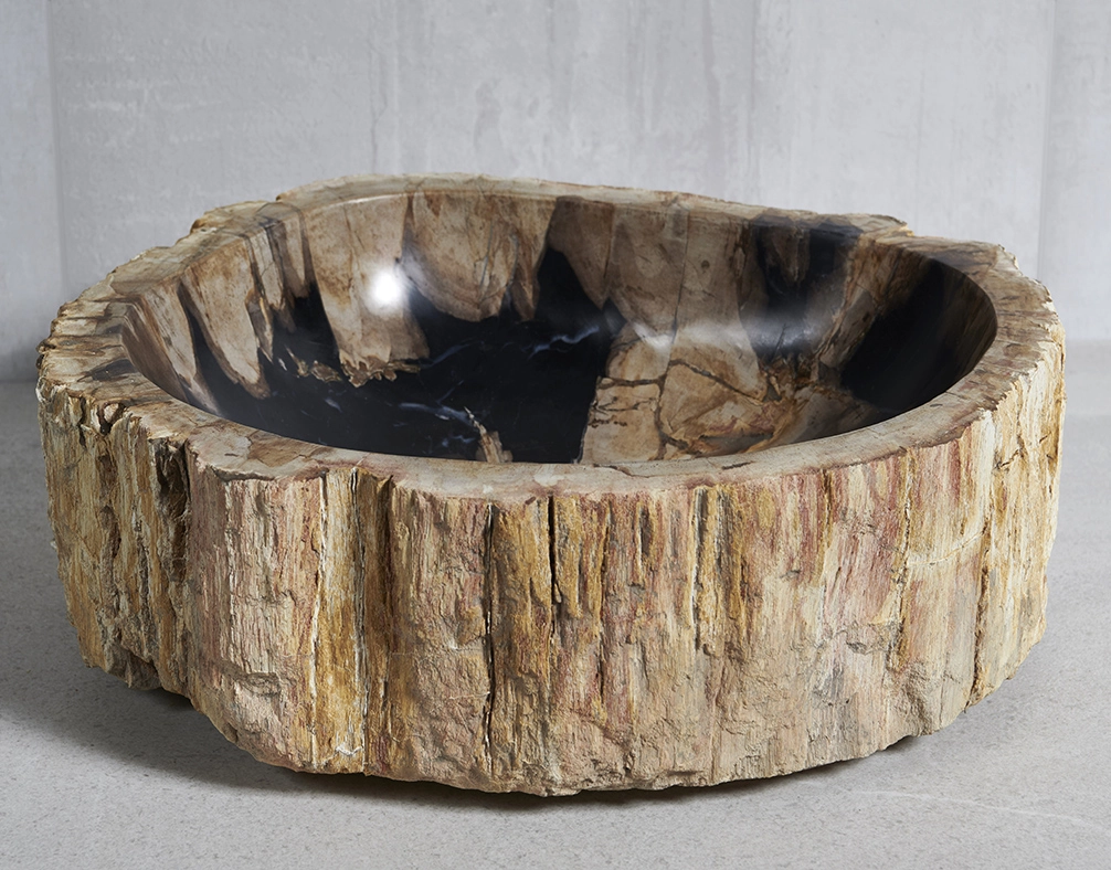 Раковина из окаменелого дерева 51х42х15