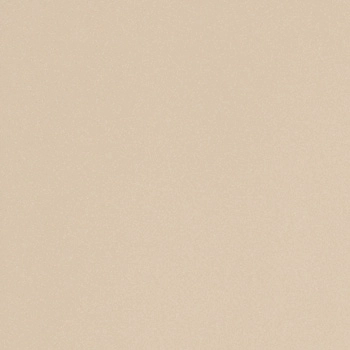 ICON ALMOND 60 60x60