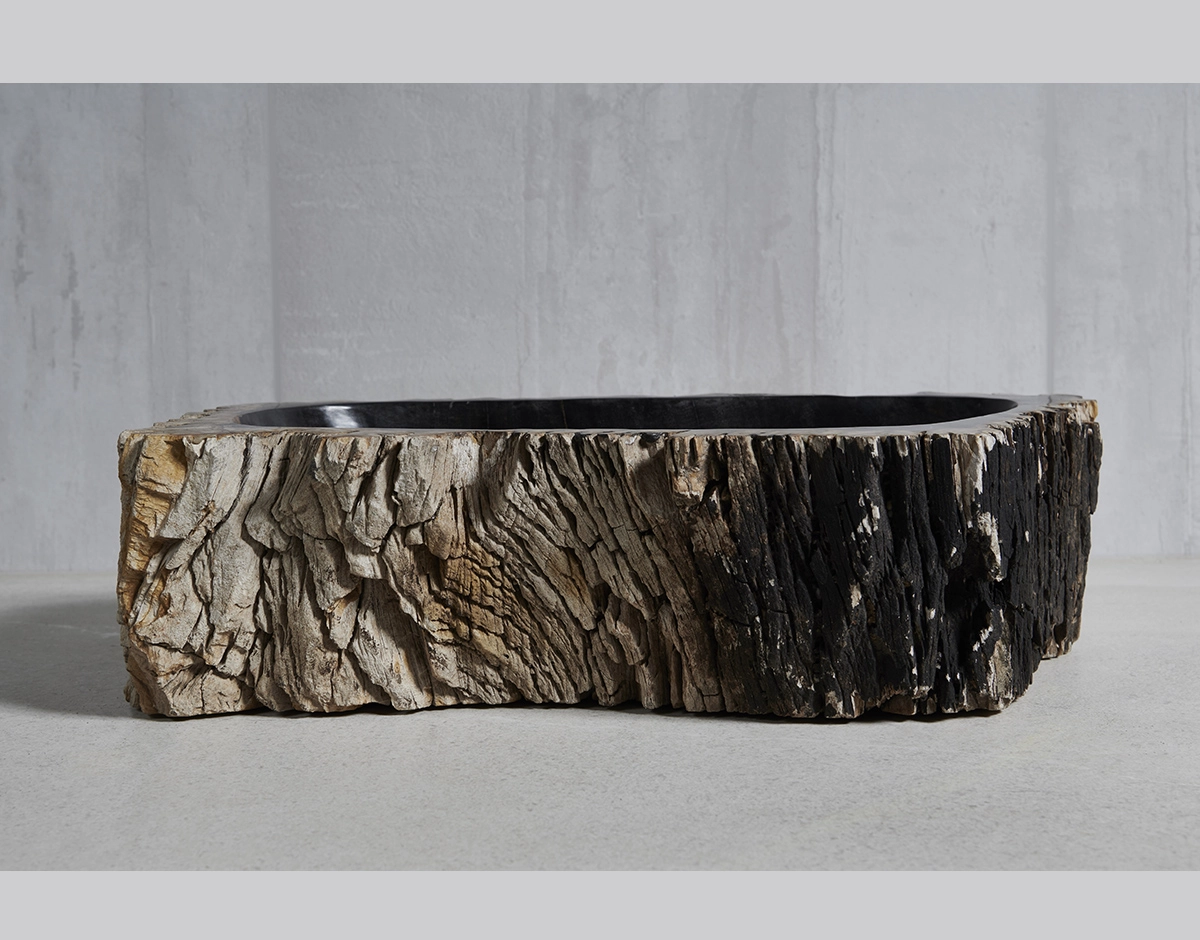 Раковина из окаменелого дерева 58х33х15