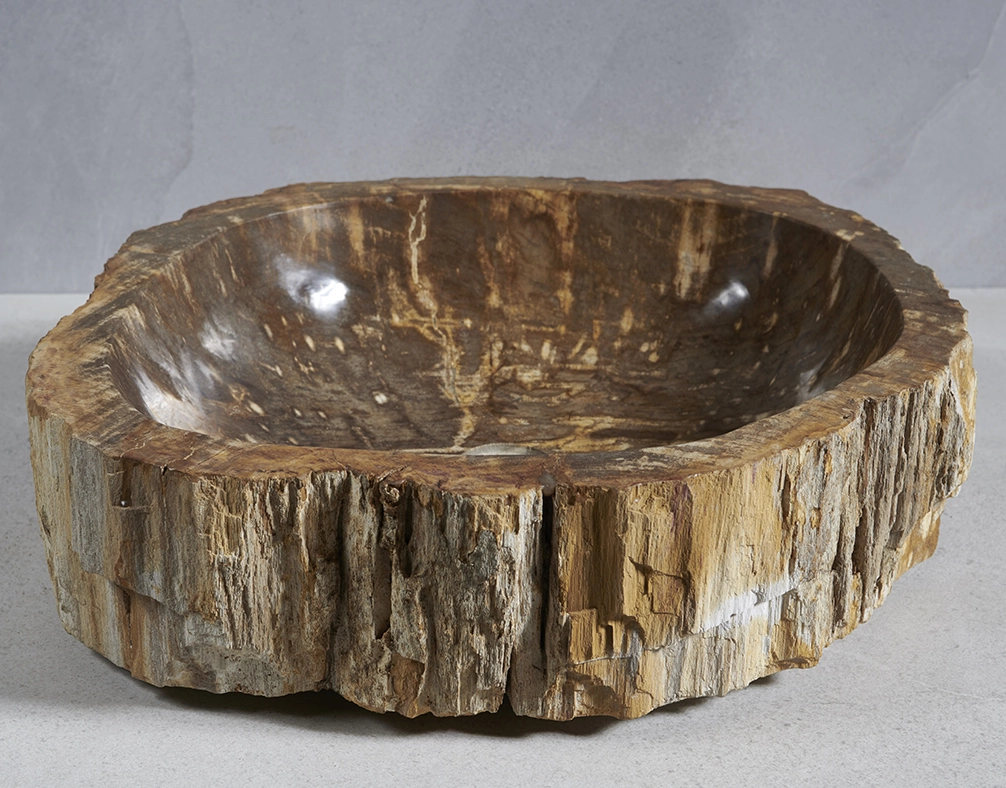 Раковина из окаменелого дерева 59х50х15