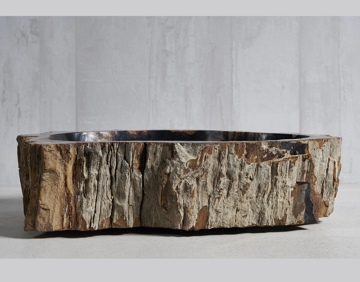 Раковина из окаменелого дерева 63х40х15