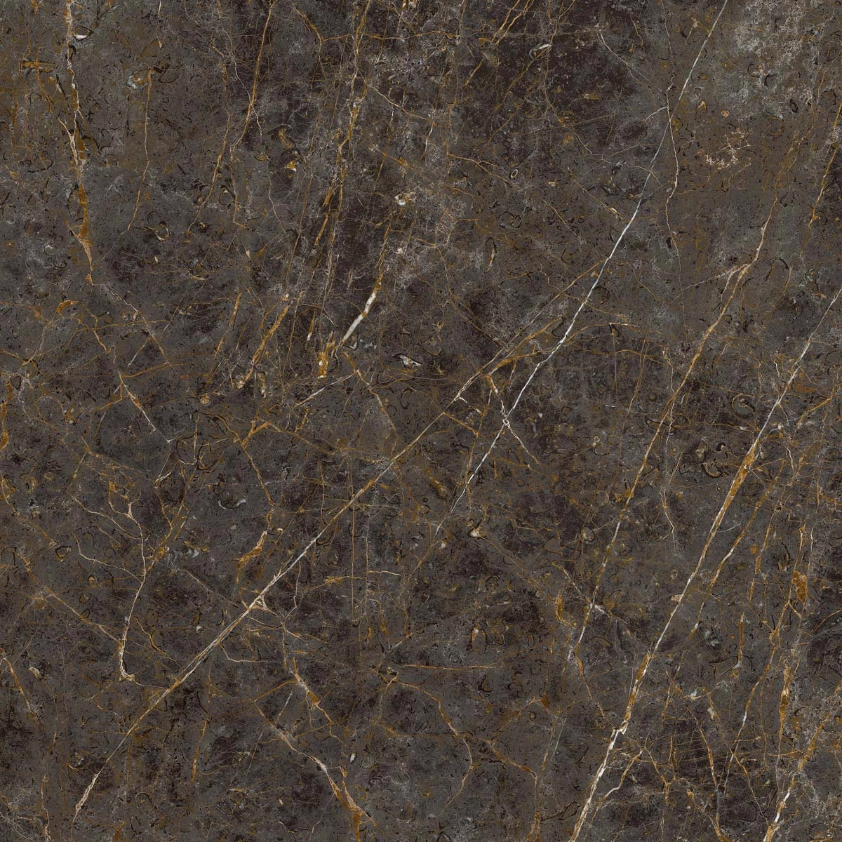 AE GOL6 120 LP 120x120