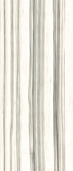 AE ZEB6 278 LP 120x278