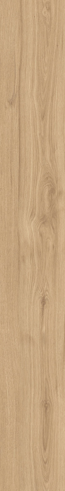 DAMA6 2015HY RM 20x150