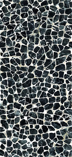 TURTLE6 260LP 120x260