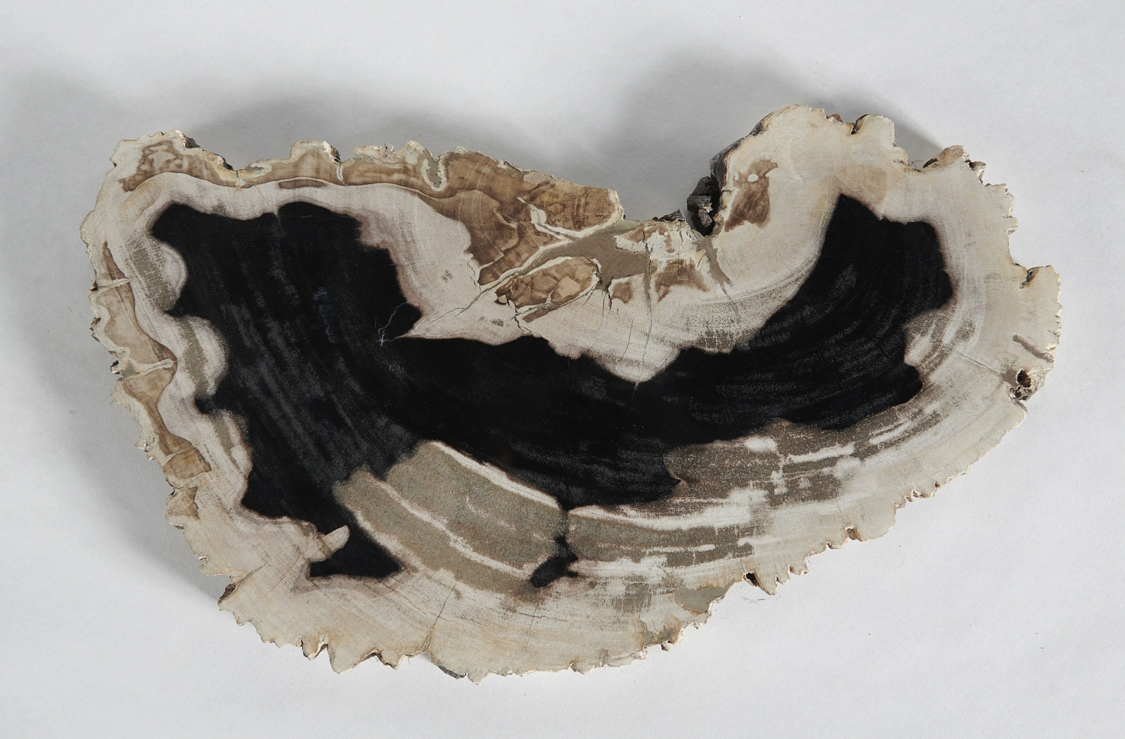 Декоративное блюдо 3P1RNB-01 50х28х3