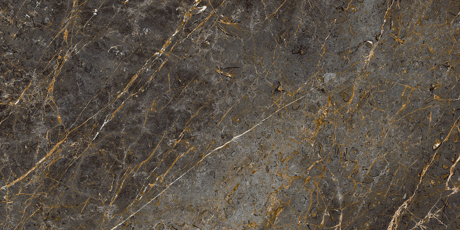 AE GOL6 12 RM 60x120