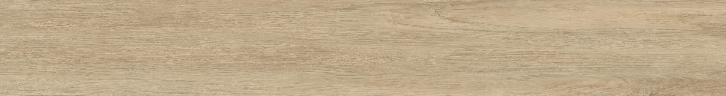 ELXR6 2015BS RM 20x150