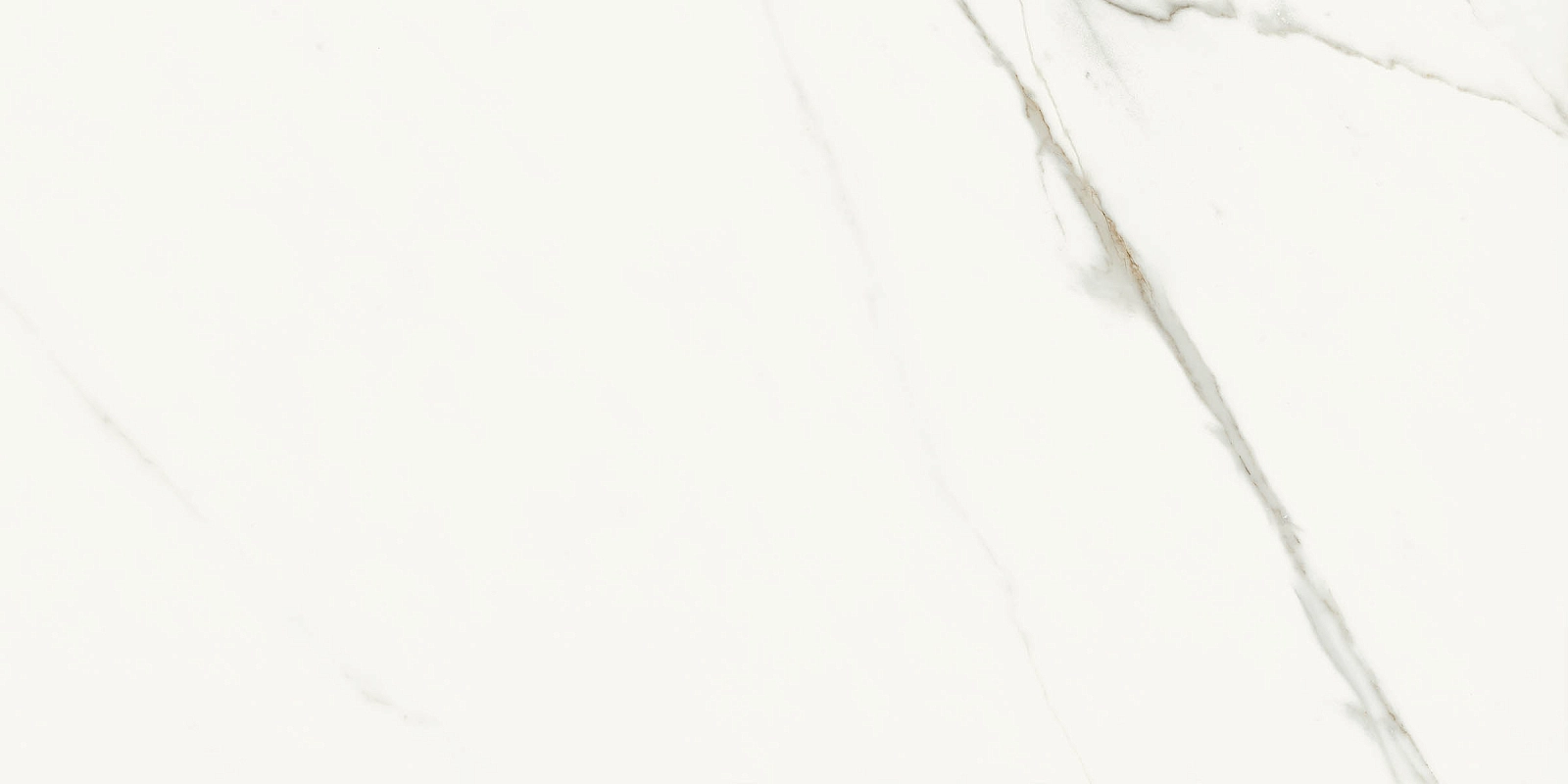 AE EXT6 12 LP 60x120