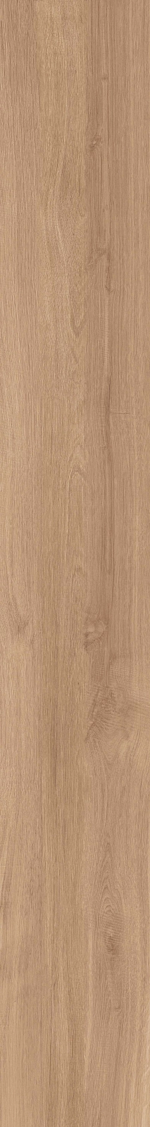 DAMA6 2015BS RM 20x150