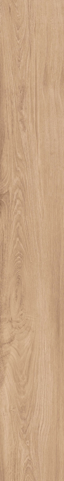 DAMA6 2015BS RM 20x150