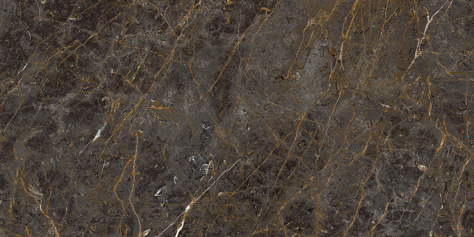 AE GOL6 12 LP 60x120