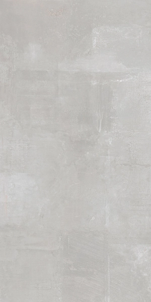 65800 Tatto Light Grey 120x300