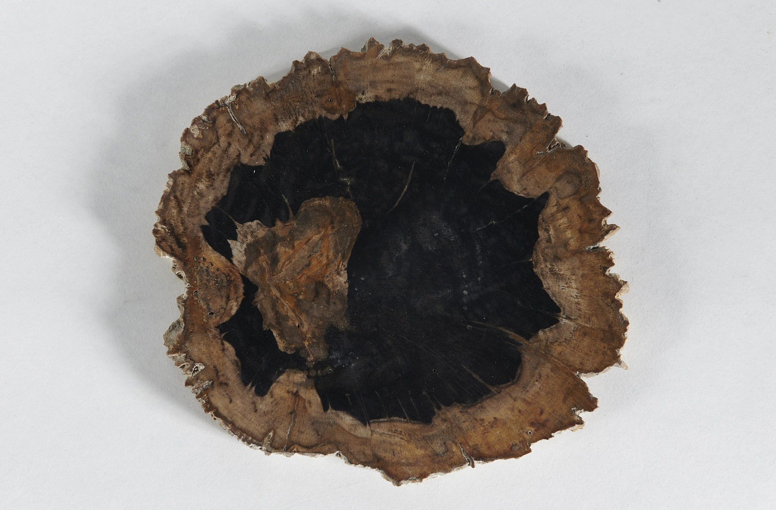 Декоративное блюдо 3P1RNM-26 22х20х2