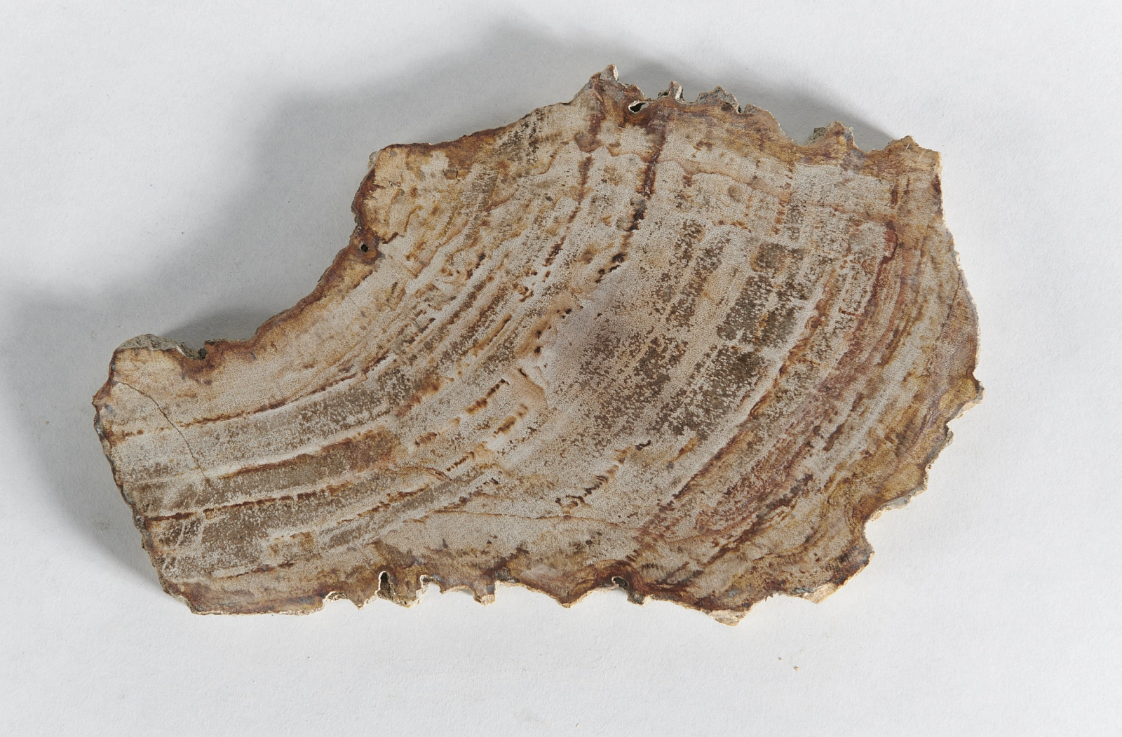 Декоративное блюдо 3P1RNM-30 27х20х2