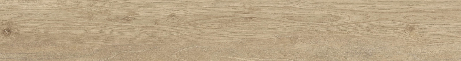 ELXR6 2015BS RM 20x150