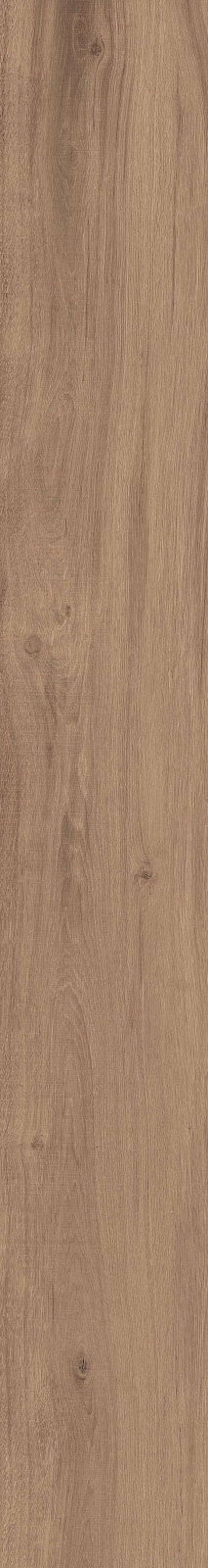 DAMA6 2015NO RM 20x150