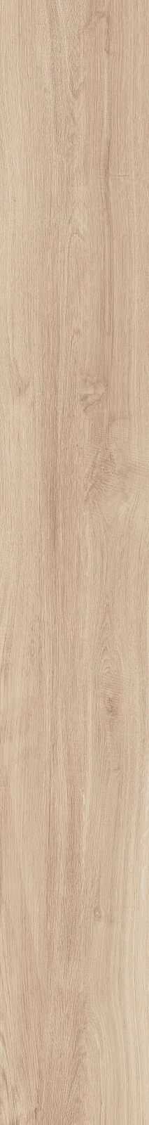 DAMA6 2015B RM 20x150