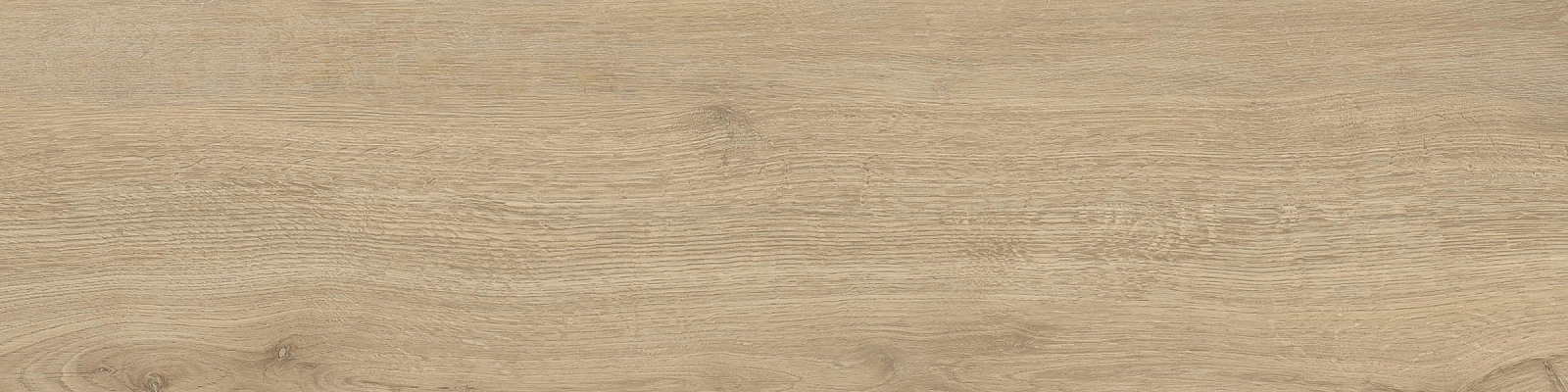 ELXR3012BS ASRM 30x120